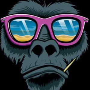 Meet your Posher, The life